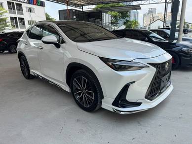 2023 Lexus NX 250 LUXURY