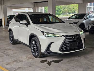 Lexus NX 250 LUXURY in Petaling Jaya, SGR