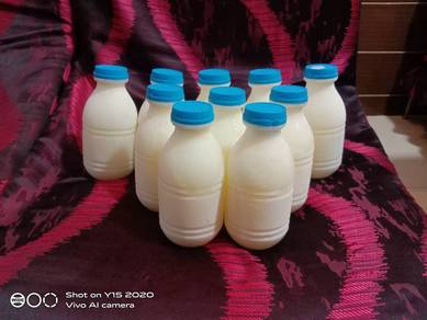 Susu Kambing Segar dan Asli Nashar