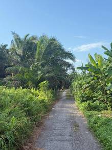Agricultural Land in Pekan Nanas, JHR