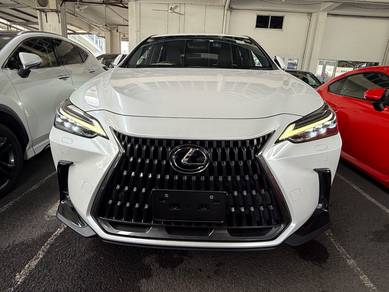 Lexus NX 250 LUXURY in Cheras, KUL