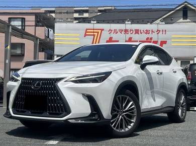 2023 Lexus NX 250 LUXURY