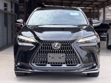 Lexus NX 250 LUXURY in Petaling Jaya, SGR