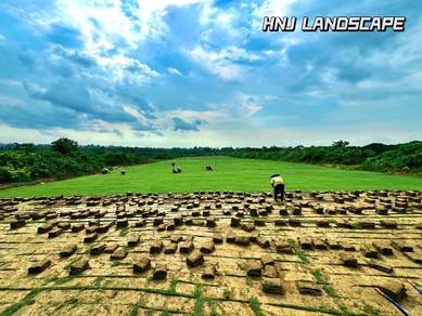 Low-Priced Cow Grass