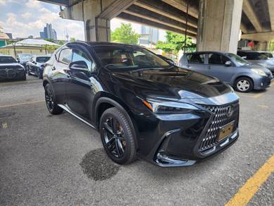 2023 Lexus NX 250 LUXURY