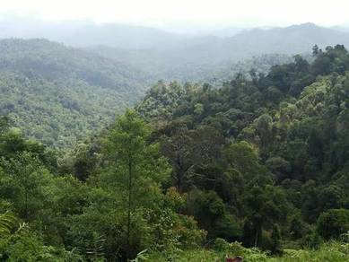 Agricultural Land in Bentong, PHG