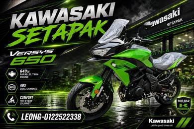 Kawasaki Versys 650