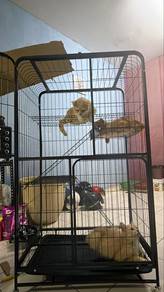 Pet Cage