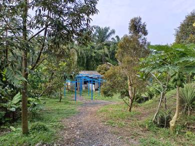 Agricultural Land in Rantau, NSN
