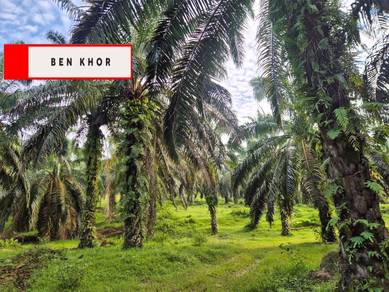 Agricultural Land in Serdang, KDH