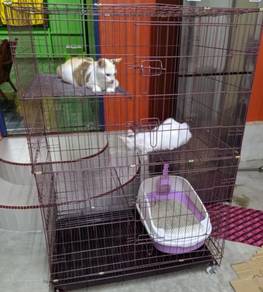 The Cage 3 Level