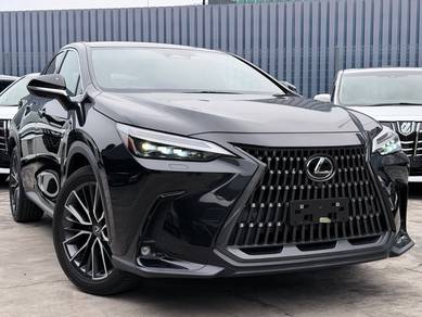 2023 Lexus NX 250 LUXURY