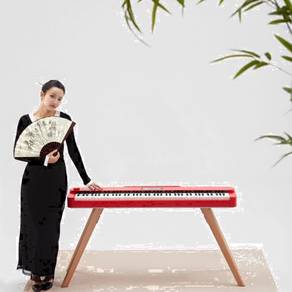 Hailun PIANOVA HD-300 Portabble Digital Piano