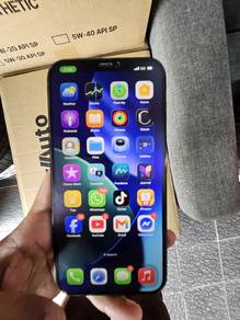 iphone 12 pro max 256gb