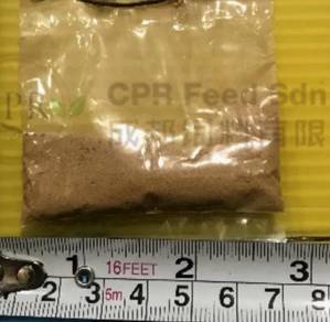 910 Dinding Nursery Fish Feed 25kg Powder Ikan