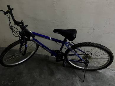 Gomax Adult Bicycle