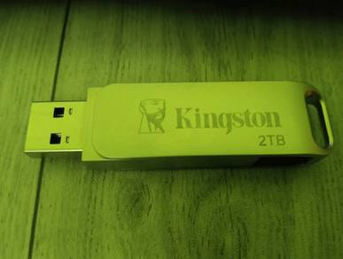 Kingston 2TB USB Pendrive with OTG Type C