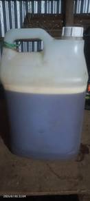 Madu lebah original 💯 dari pokok