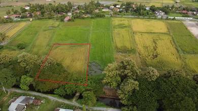 Agricultural Land in Kangar, PLS