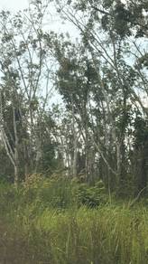 Agricultural Land in Pauh, PLS