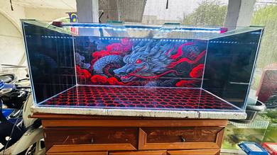 aquarium