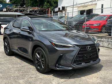 2022 Lexus NX 250 LUXURY