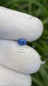 Cornflower Blue Sapphire - 1.15ct