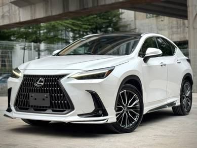 2023 Lexus NX 250 LUXURY