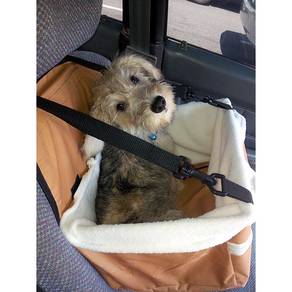 Car Booster Seat For Pet Dog Cat Carriers