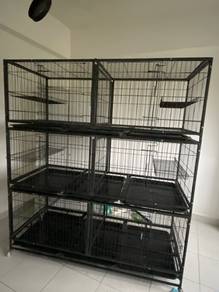 Sangkar Kucing