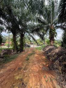 Agricultural Land in Batu Pahat, JHR