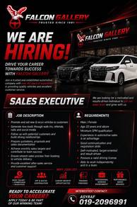 Sales Advisor Recon Dealer