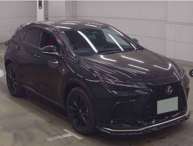 2025 Lexus NX 250 F SPORT