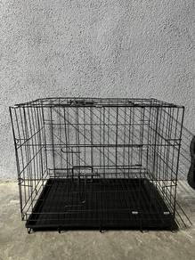kitten cage