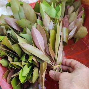 ulam mata itik dan beko