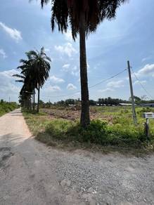Agricultural Land in Bertam, PNG