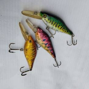 Mid-water crankbait combo