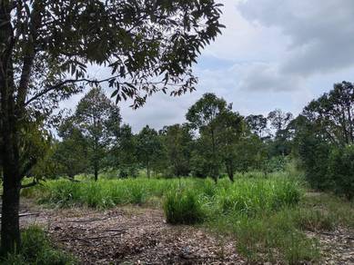 Agricultural Land in Slim River, PRK