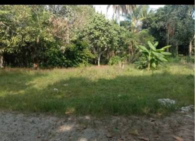 Others Land in Pendang, KDH