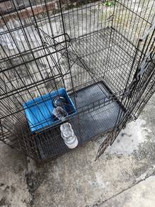 sangkar kucing 3 Tingkat 