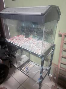 aquarium 