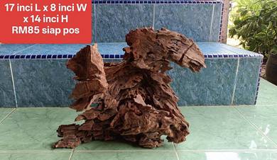 aquascape and paludarium best driftwood 
