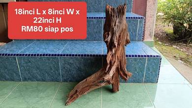 tunggul kayu hiasan aquarium 3ft 4ft -kayu merah