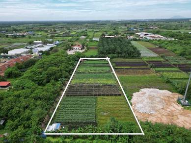 Agricultural Land in Klang, SGR