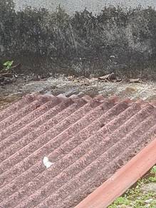 Asbestos roofs- Second hand