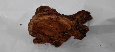Driftwood for Aquarium