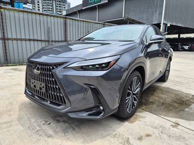Lexus NX 250 LUXURY in Chan Sow Lin, KUL
