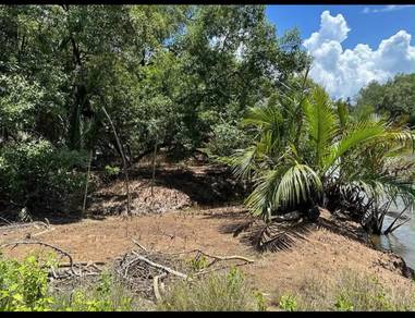 Agricultural Land in Pekan, PHG