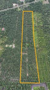 Agricultural Land in Simpang Renggam, JHR