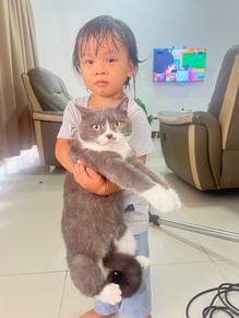 Bsh for sale